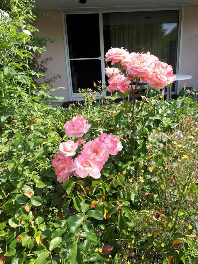 Entire House, Quiet City Location, Garden, Parking Bielefeld Exterior photo